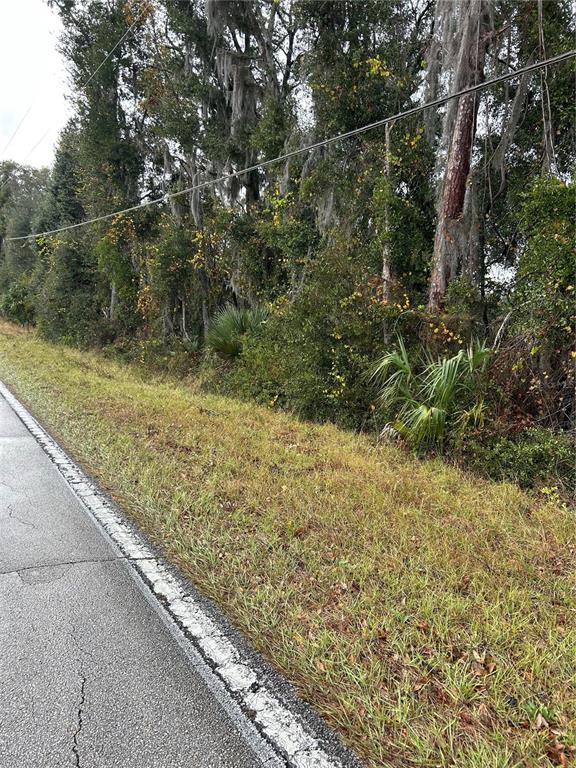 Emporia Road Pierson, FL 32180 - Photo 1 of 1