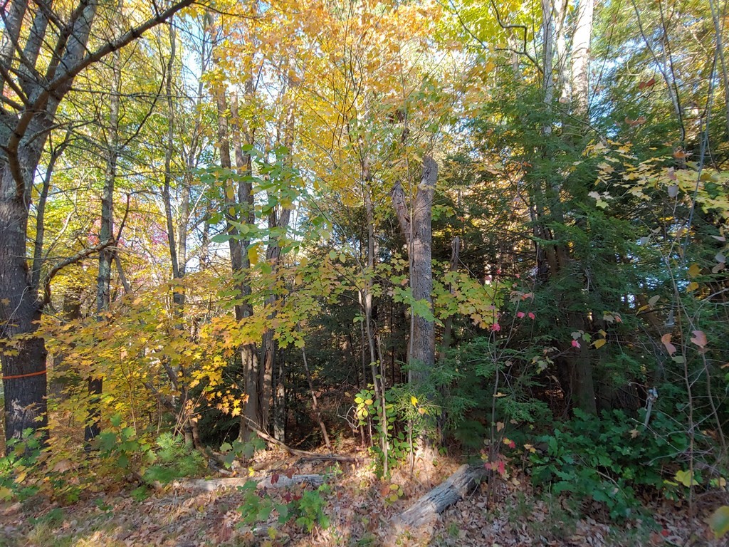 0 Apple Road Brimfield, MA 01010 - Photo 1 of 3 Gallery Image 1