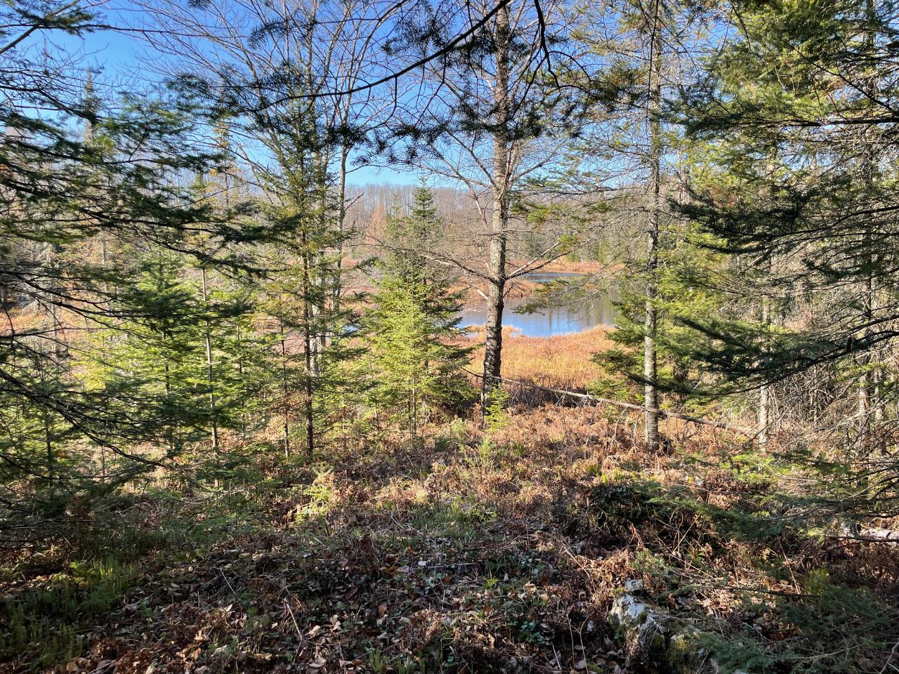 Lot 36 Cth B Road Hurley, WI 54534 - Photo 10 of 13 Gallery Image 10