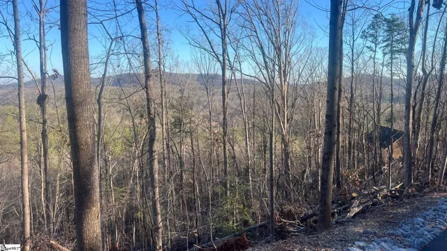 $11,000 | 109 Stone Creek Court, Pickens, SC 29671