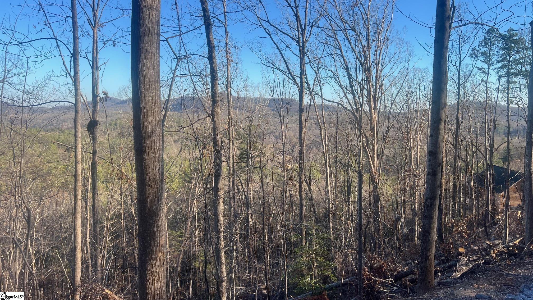 109 Stone Creek Court Pickens, SC 29671 - Photo 3 of 13