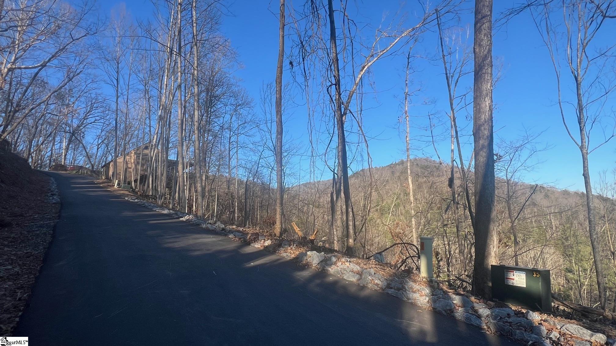 109 Stone Creek Court Pickens, SC 29671 - Photo 5 of 13