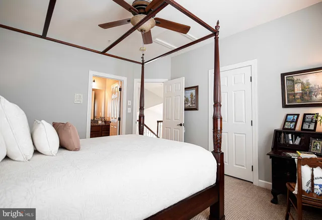 a view of a park with large trees