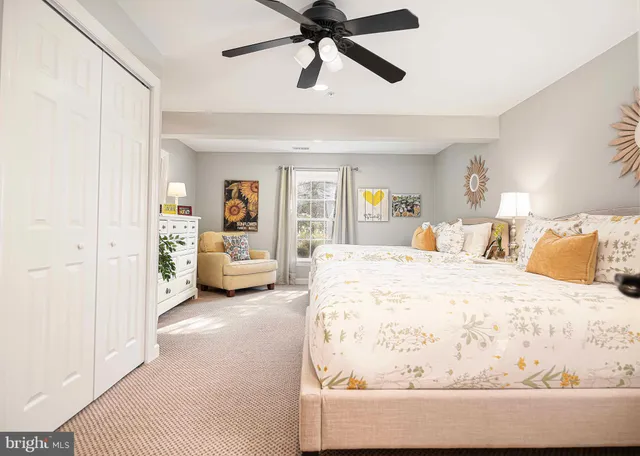 a view of a swimming pool with a lounge chairs