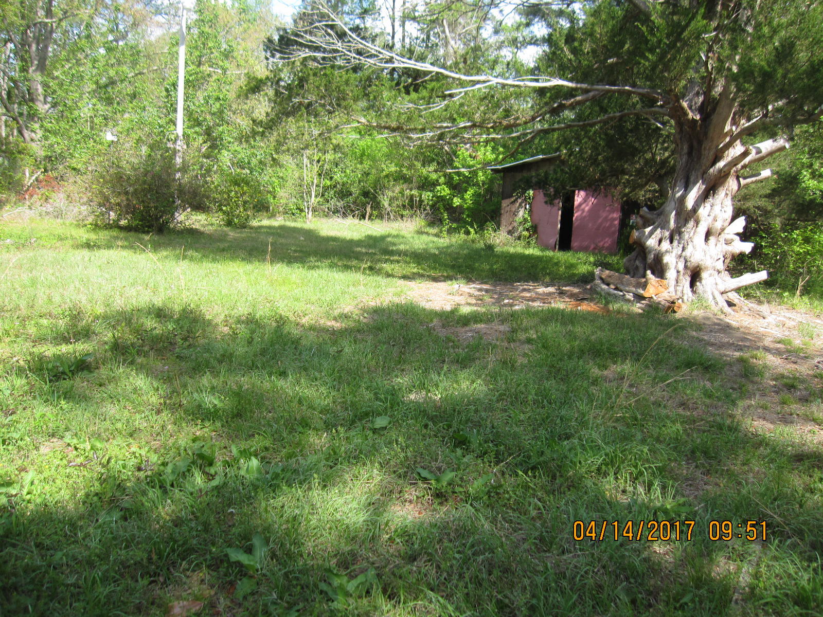 1212 Mewville Road Yemassee, SC 29945 - Photo 7 of 22 IMG_7473