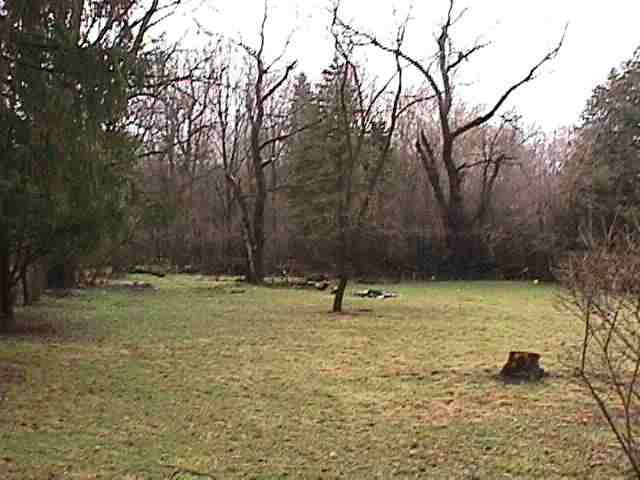 2415 Cobb Road Jackson, MI 49203 - Photo 3 of 10 Photo 3
