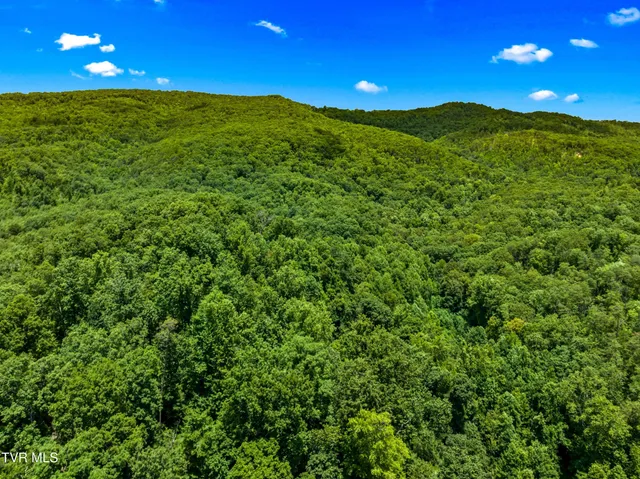 $724,500 | 9514 Highway 11W, Mooresburg, TN 37811