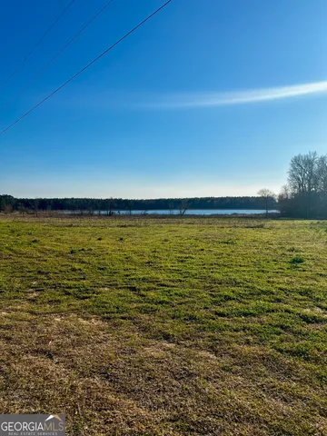 $565,000 | 0 Mt Olive Road, Dublin, GA 31021