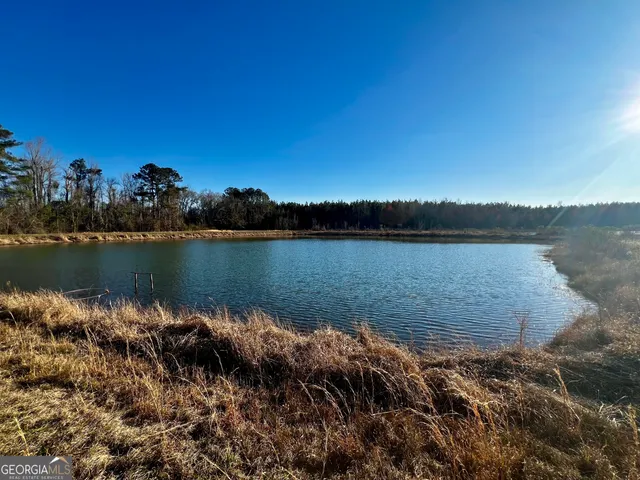 $565,000 | 0 Mt Olive Road, Dublin, GA 31021