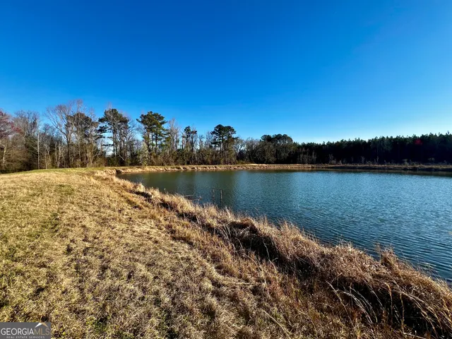 $565,000 | 0 Mt Olive Road, Dublin, GA 31021