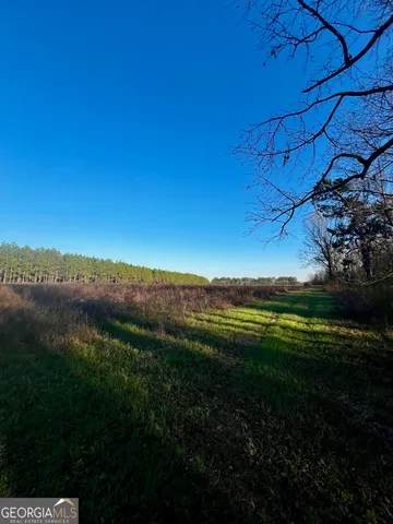 $565,000 | 0 Mt Olive Road, Dublin, GA 31021