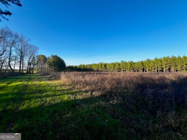 $565,000 | 0 Mt Olive Road, Dublin, GA 31021