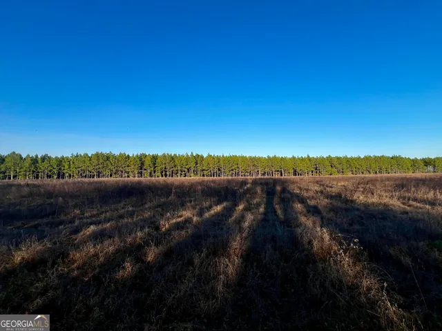 $565,000 | 0 Mt Olive Road, Dublin, GA 31021