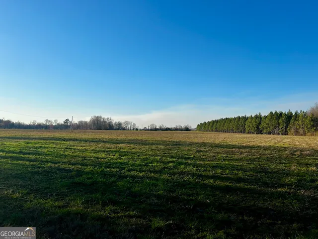 $565,000 | 0 Mt Olive Road, Dublin, GA 31021