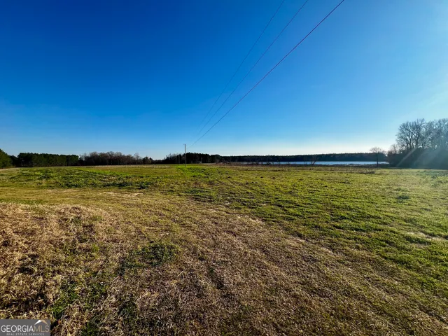 $565,000 | 0 Mt Olive Road, Dublin, GA 31021