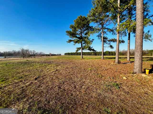 $565,000 | 0 Mt Olive Road, Dublin, GA 31021