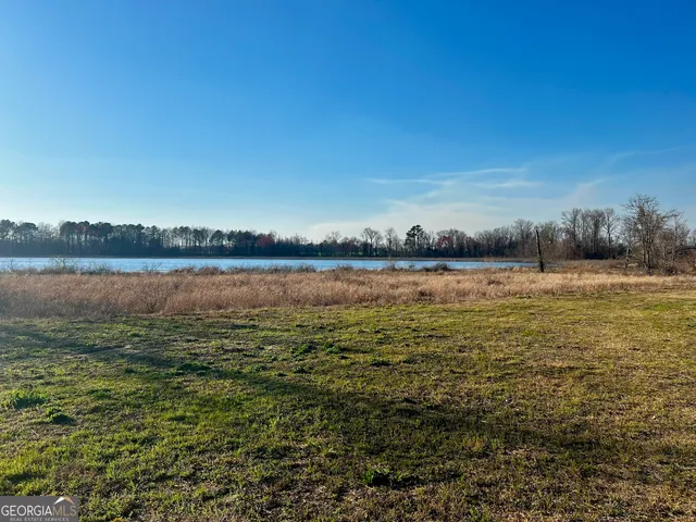 $565,000 | 0 Mt Olive Road, Dublin, GA 31021