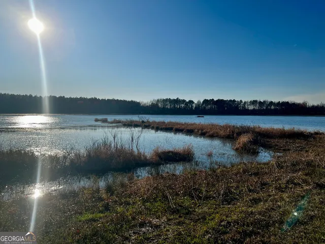 $565,000 | 0 Mt Olive Road, Dublin, GA 31021