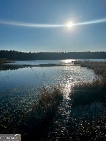 $565,000 | 0 Mt Olive Road, Dublin, GA 31021