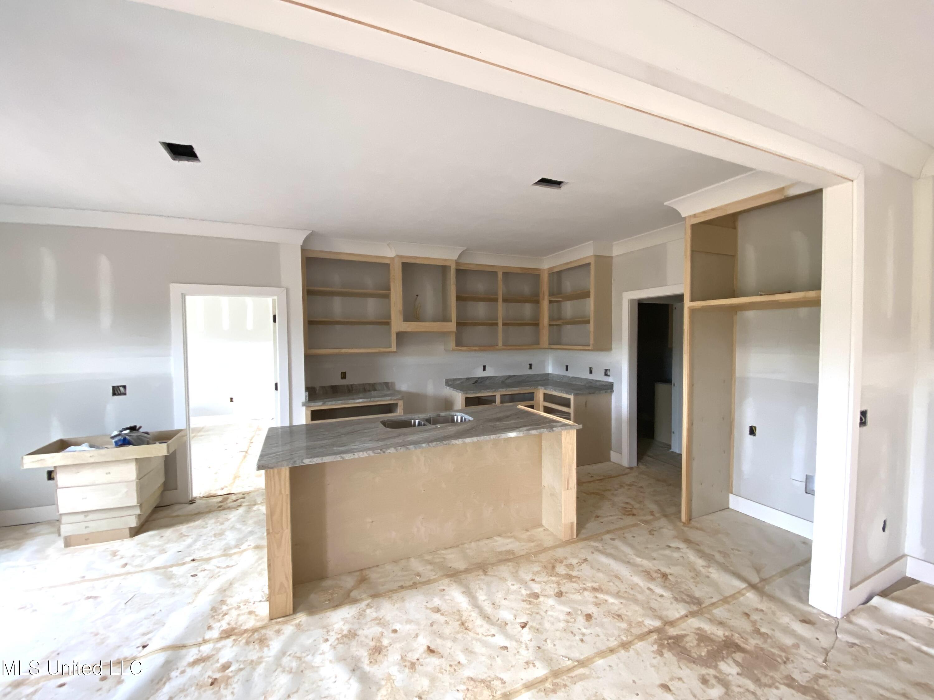 786 Clyde B Road Walnut Grove, MS 39189 - Photo 3 of 5 IMG_0751