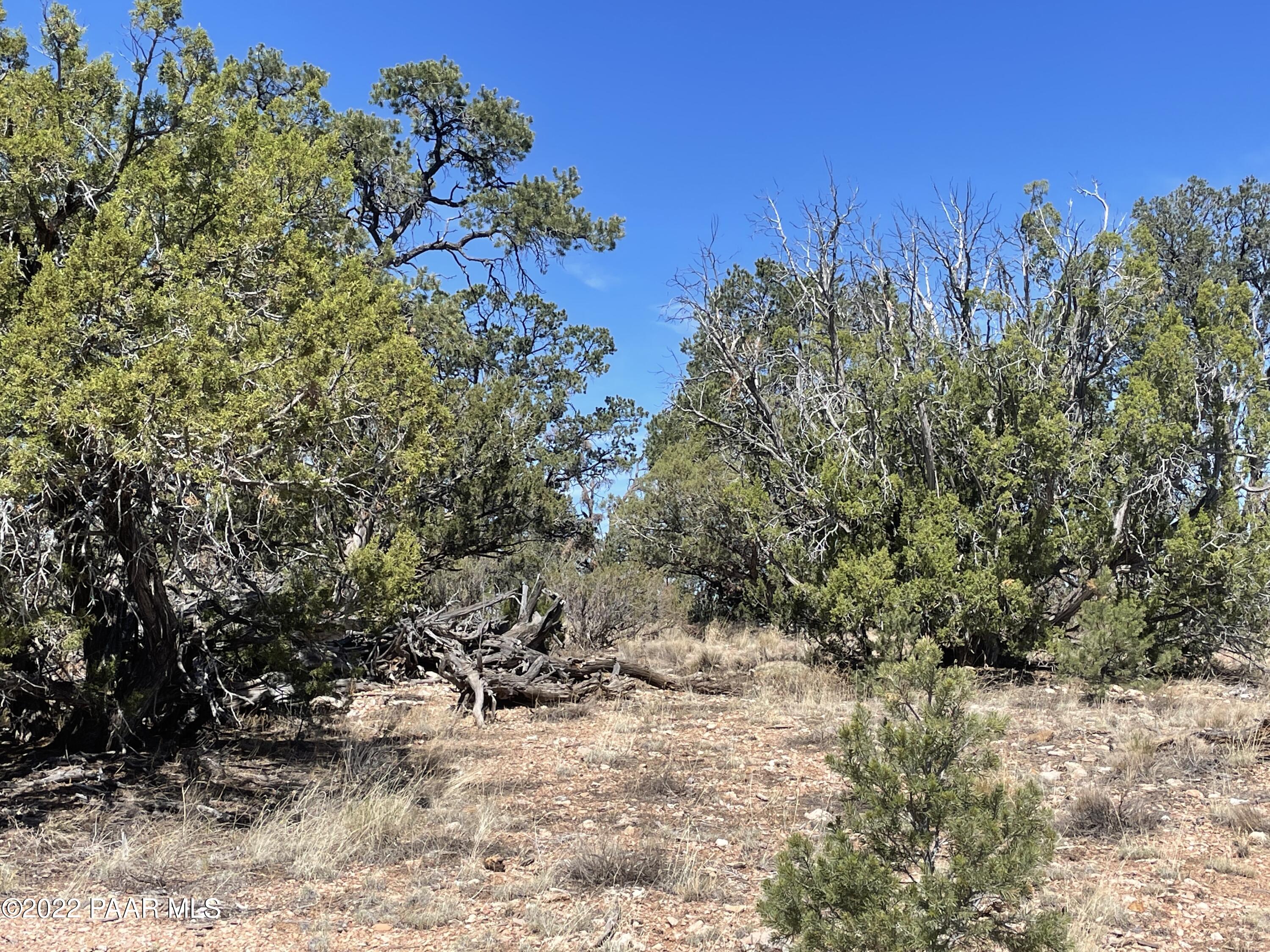 0 Pica Road Seligman, AZ 86337 - Photo 11 of 28 IMG_3009