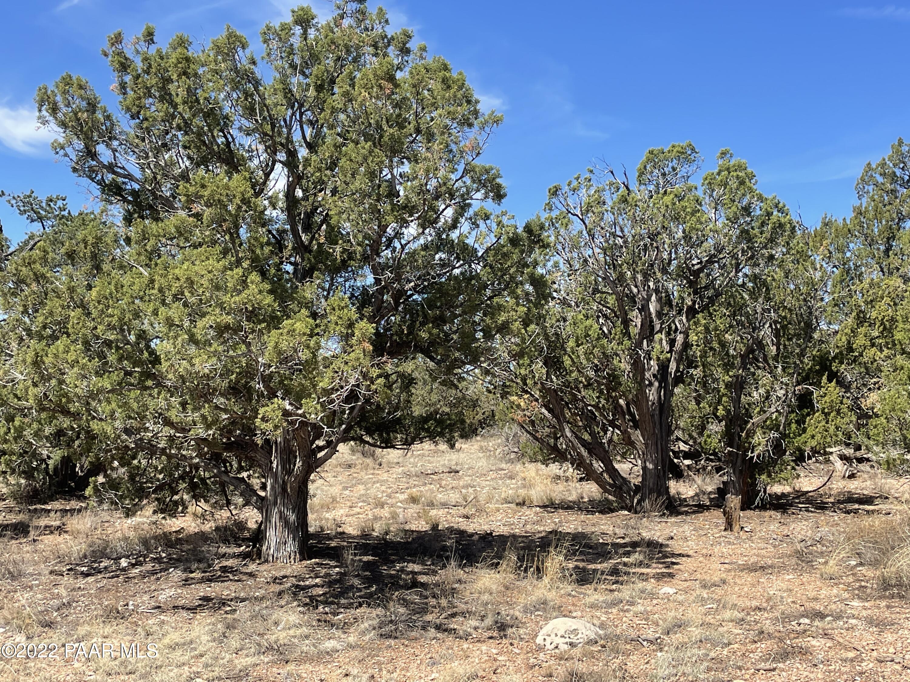 0 Pica Road Seligman, AZ 86337 - Photo 12 of 28 IMG_3010