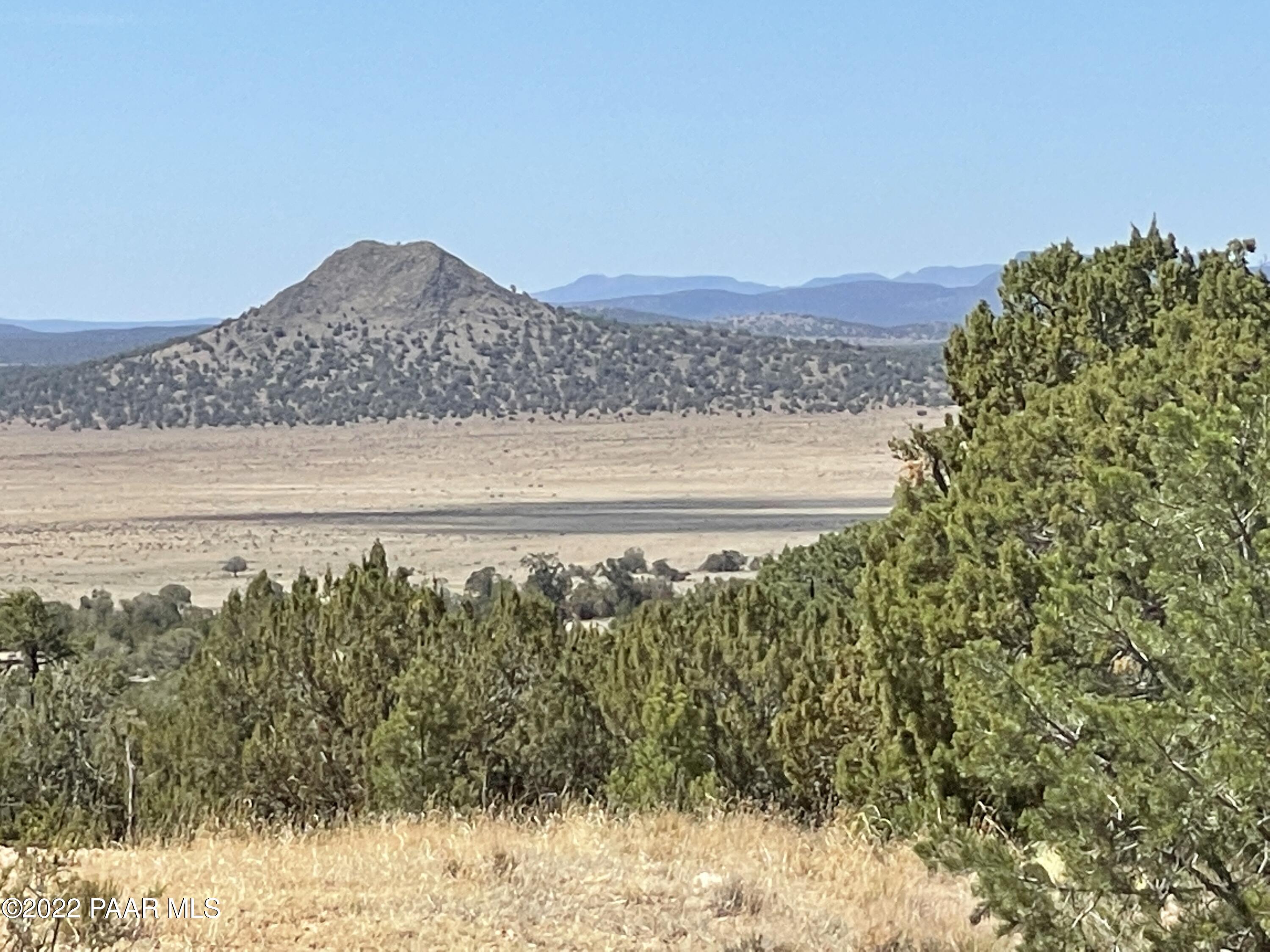 0 Pica Road Seligman, AZ 86337 - Photo 17 of 28 IMG_3015