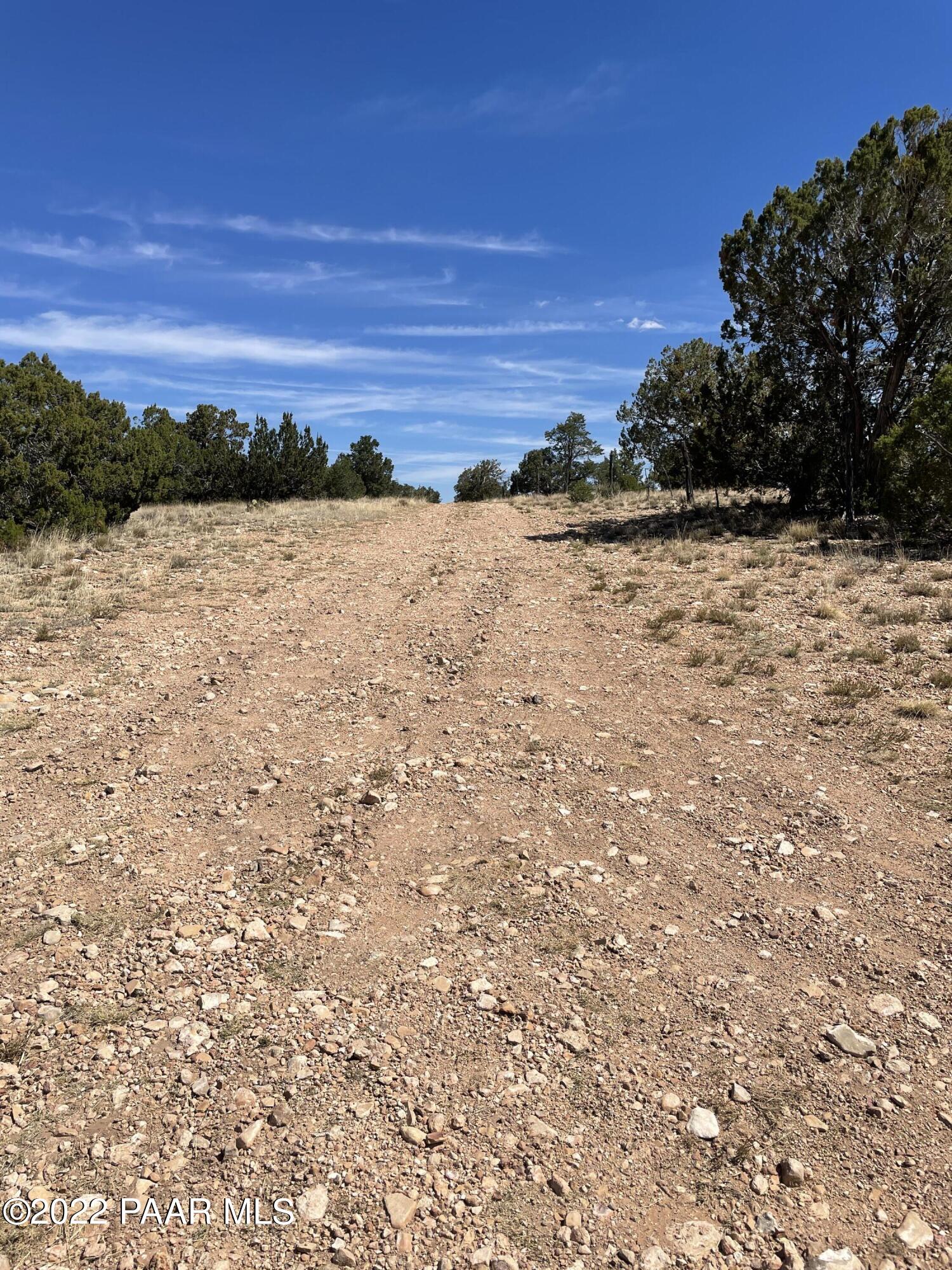0 Pica Road Seligman, AZ 86337 - Photo 18 of 28 IMG_3016