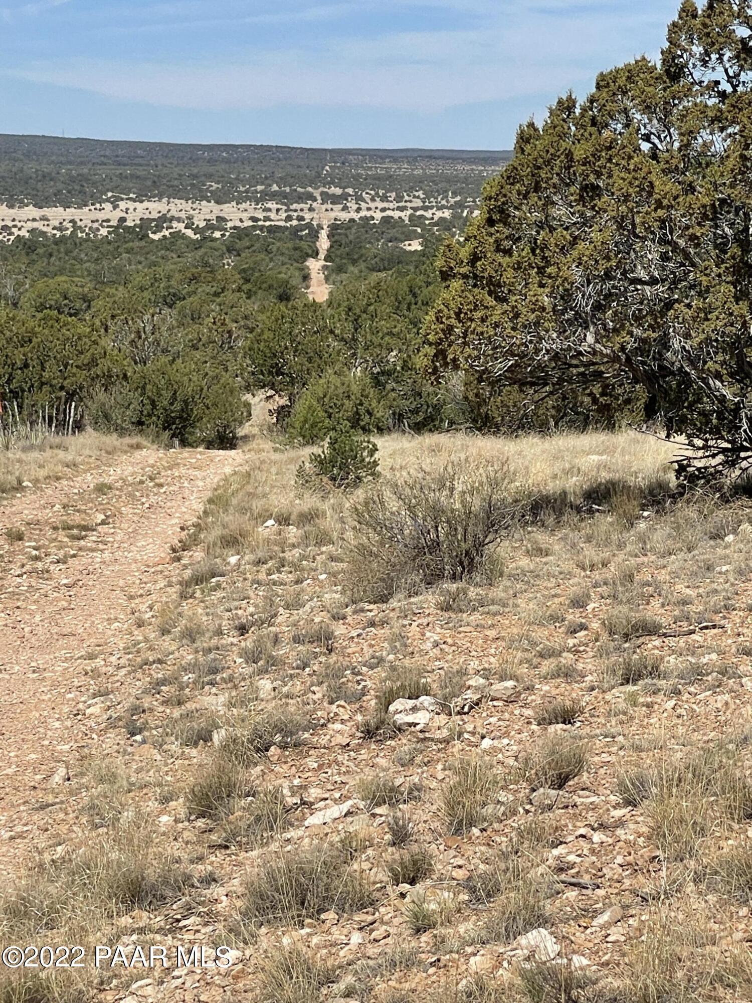 0 Pica Road Seligman, AZ 86337 - Photo 20 of 28 IMG_3018