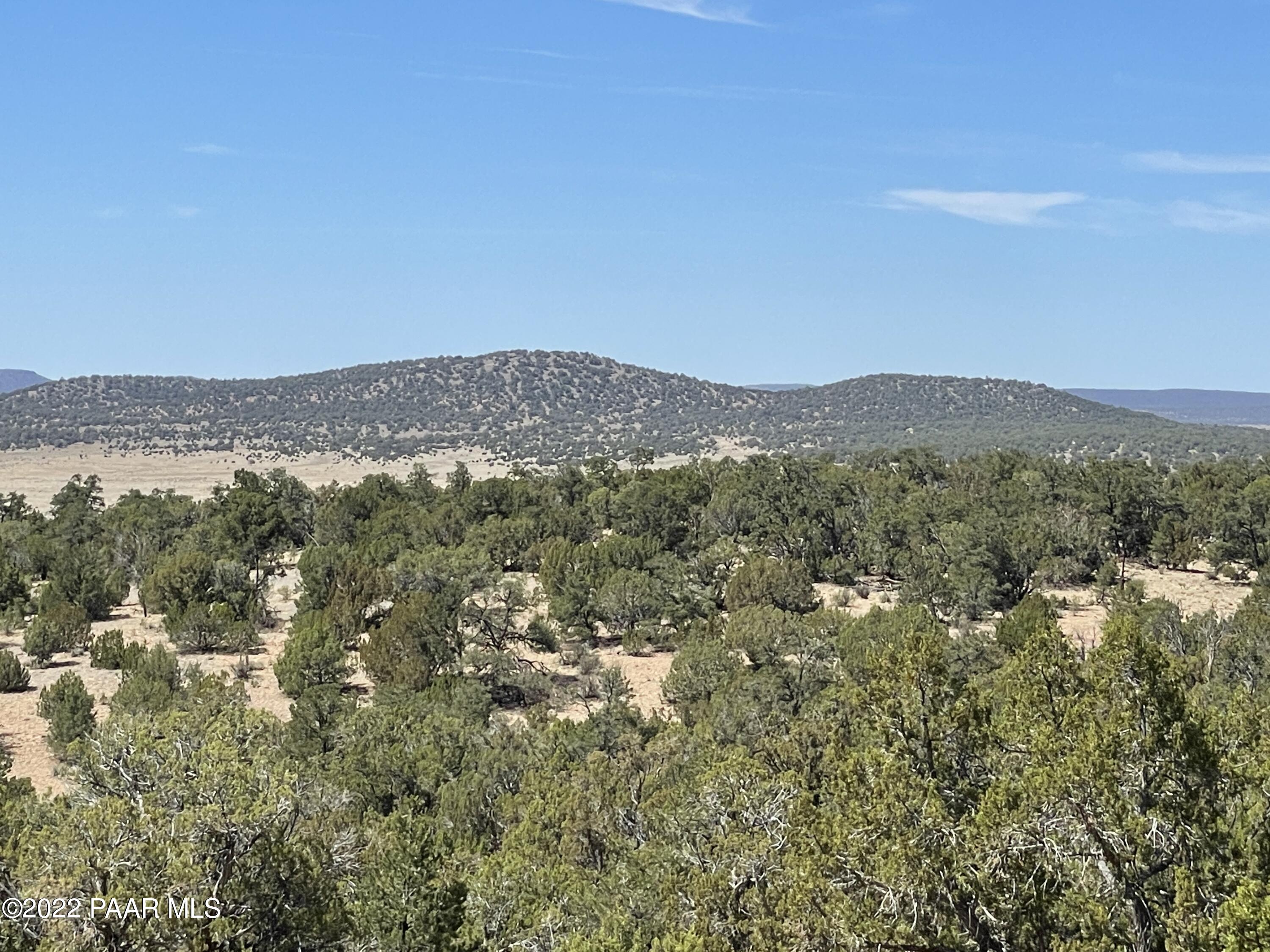 0 Pica Road Seligman, AZ 86337 - Photo 21 of 28 IMG_3019