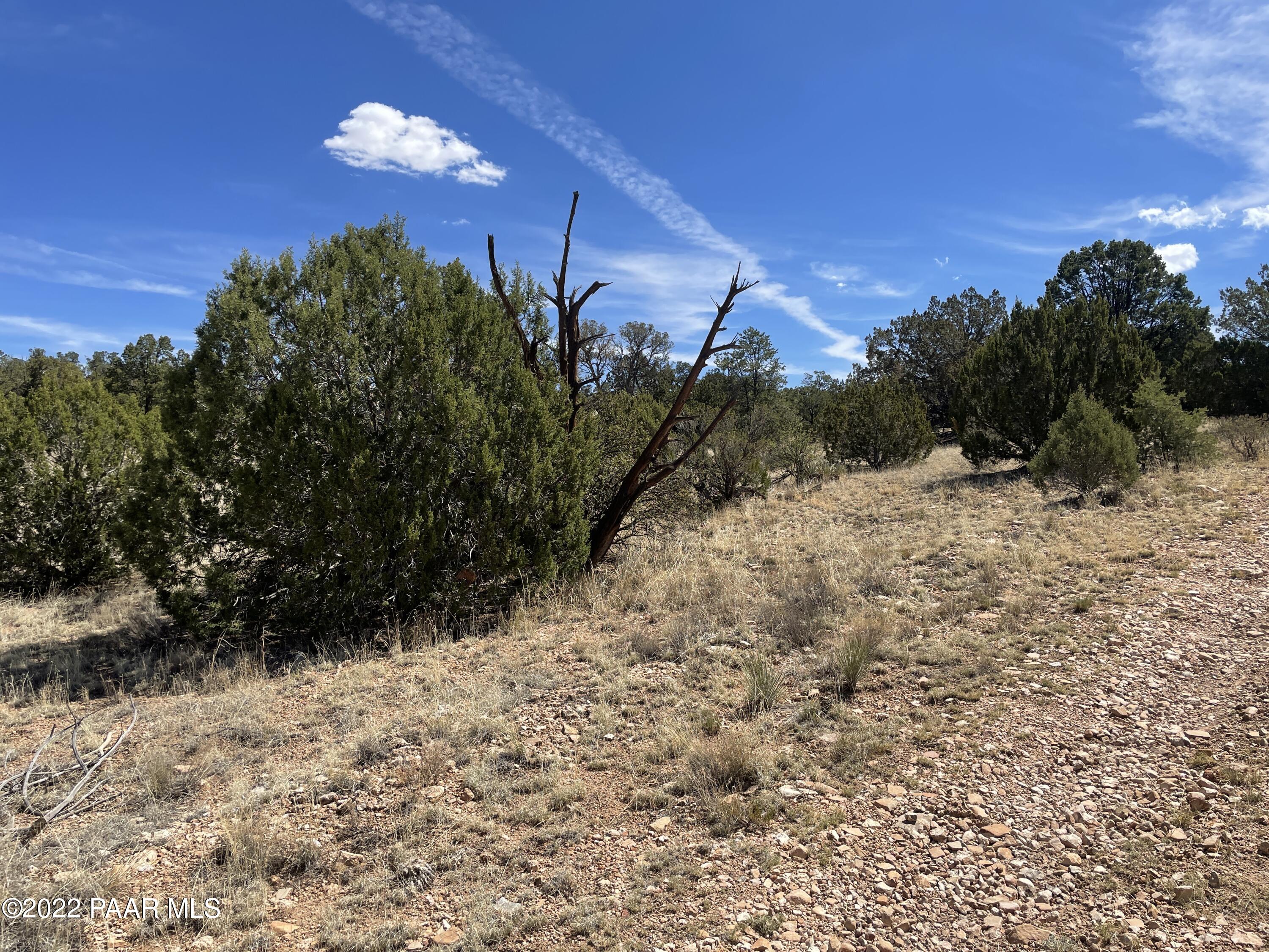 0 Pica Road Seligman, AZ 86337 - Photo 22 of 28 IMG_3026