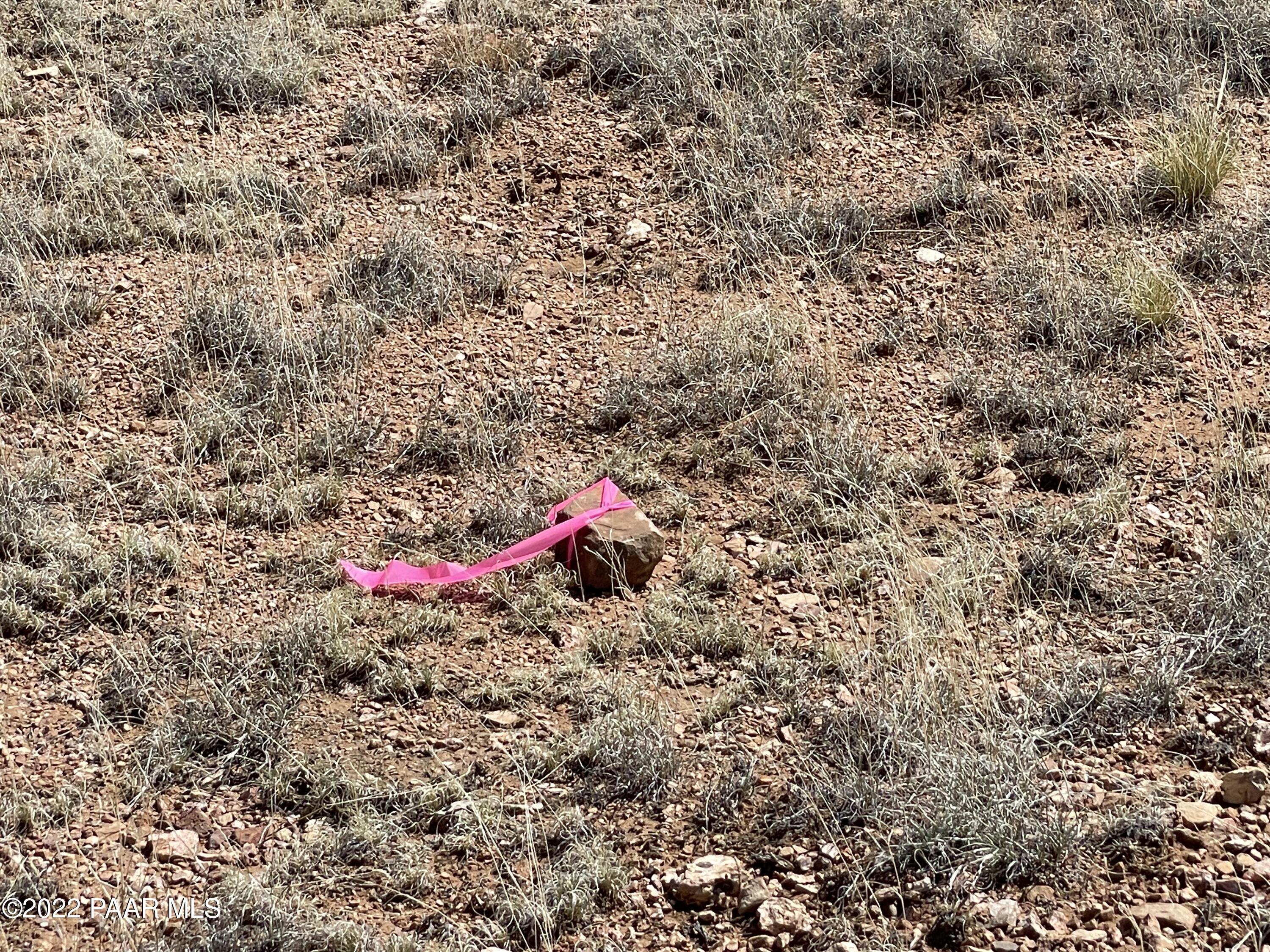 0 Pica Road Seligman, AZ 86337 - Photo 26 of 28 IMG_3030