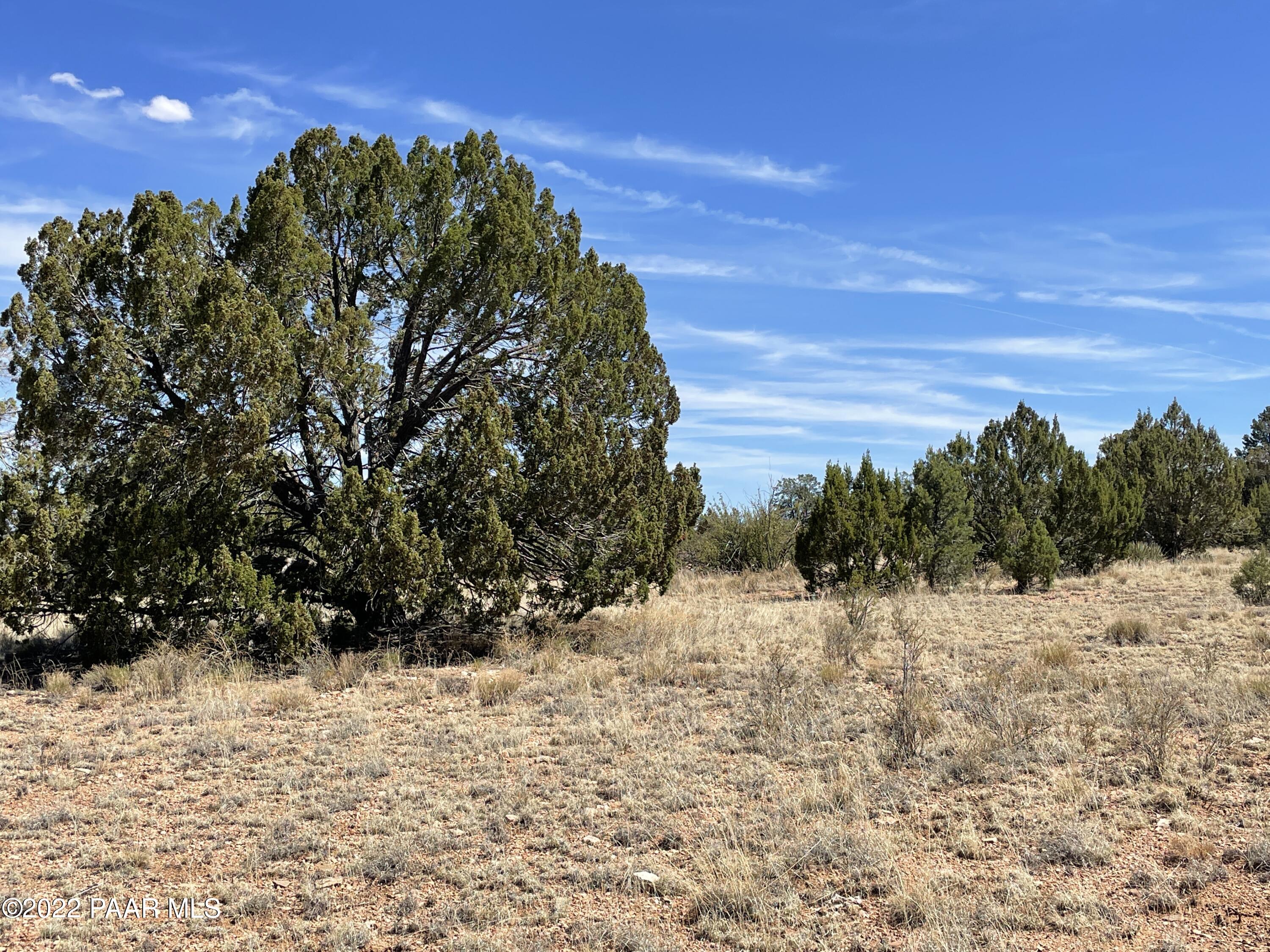 0 Pica Road Seligman, AZ 86337 - Photo 27 of 28 IMG_3031