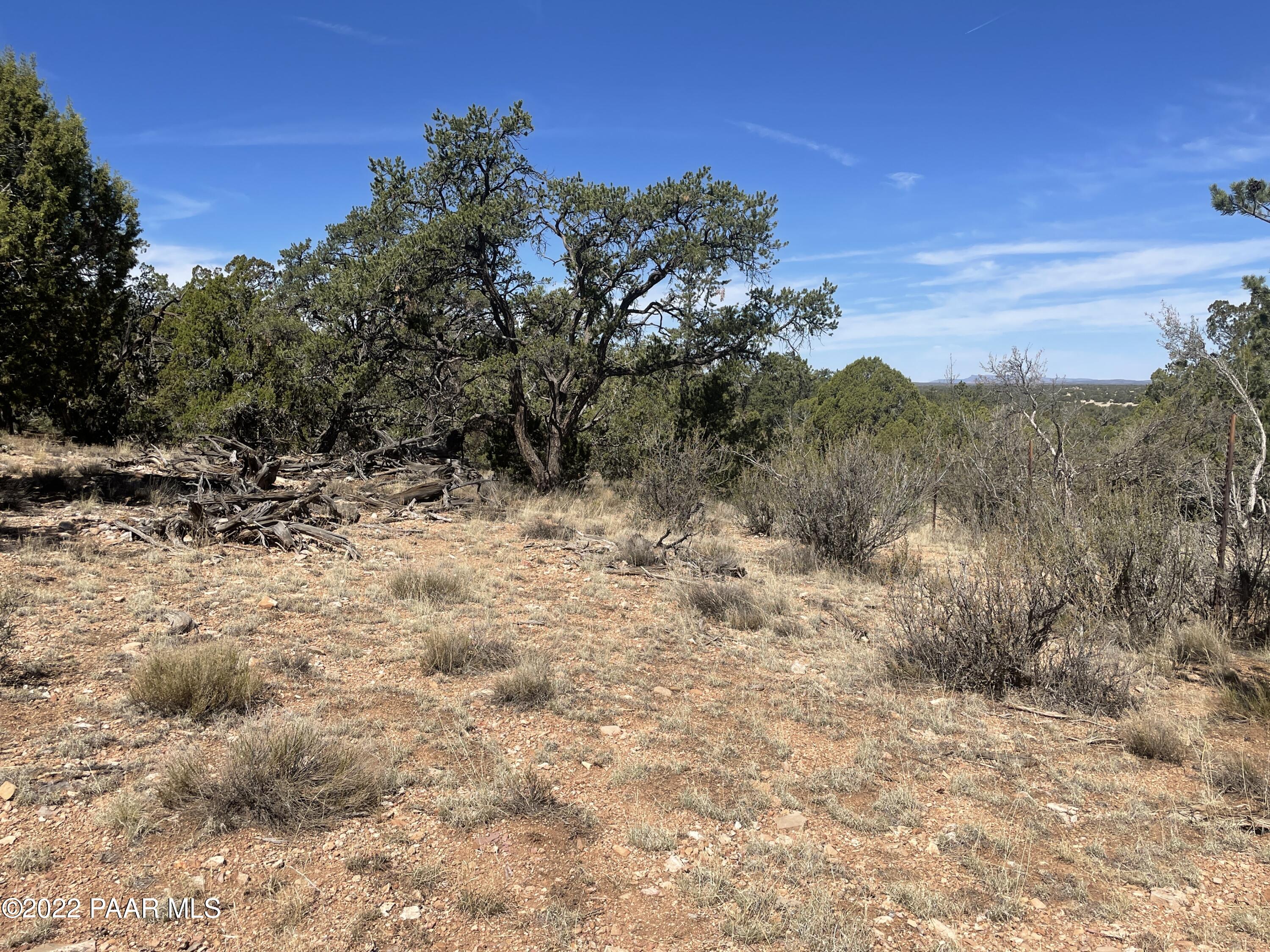 0 Pica Road Seligman, AZ 86337 - Photo 3 of 28 IMG_3004