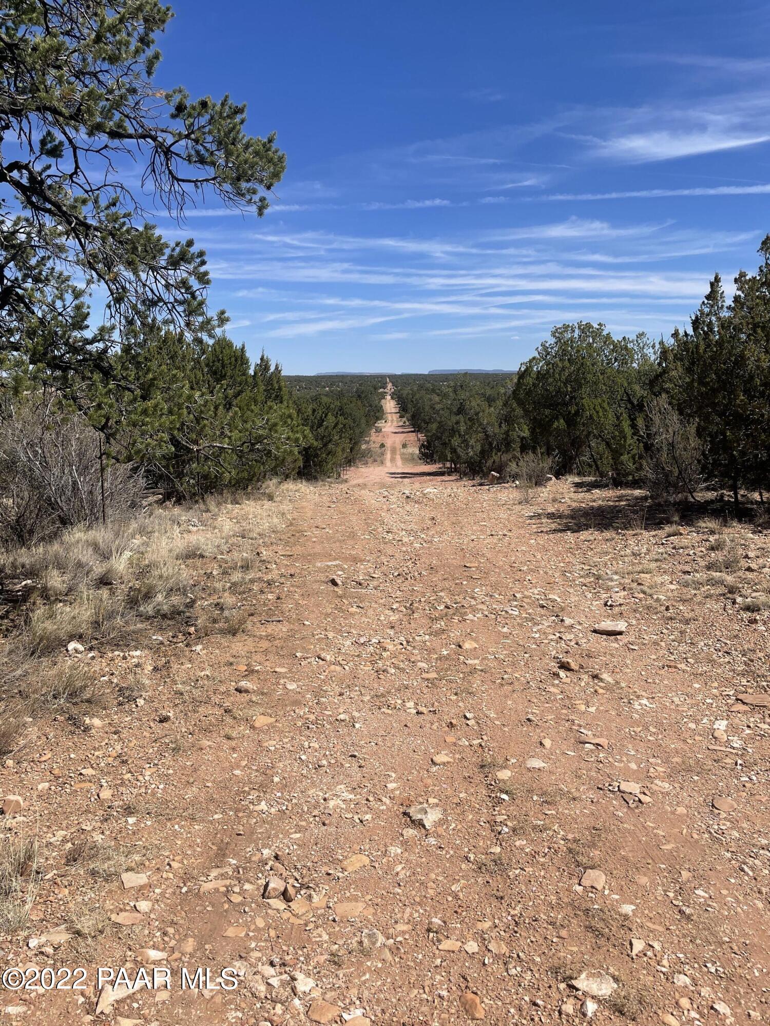 0 Pica Road Seligman, AZ 86337 - Photo 4 of 28 IMG_2999