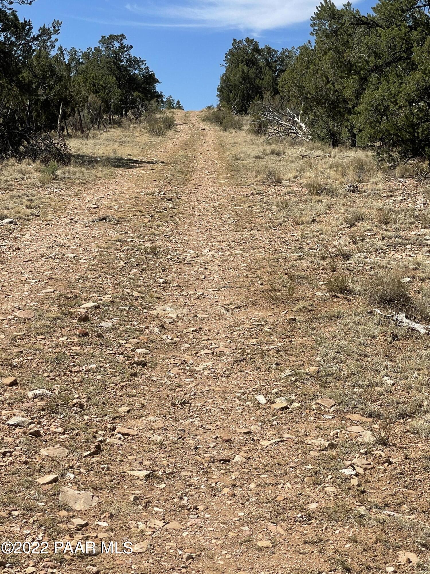 0 Pica Road Seligman, AZ 86337 - Photo 6 of 28 IMG_3002