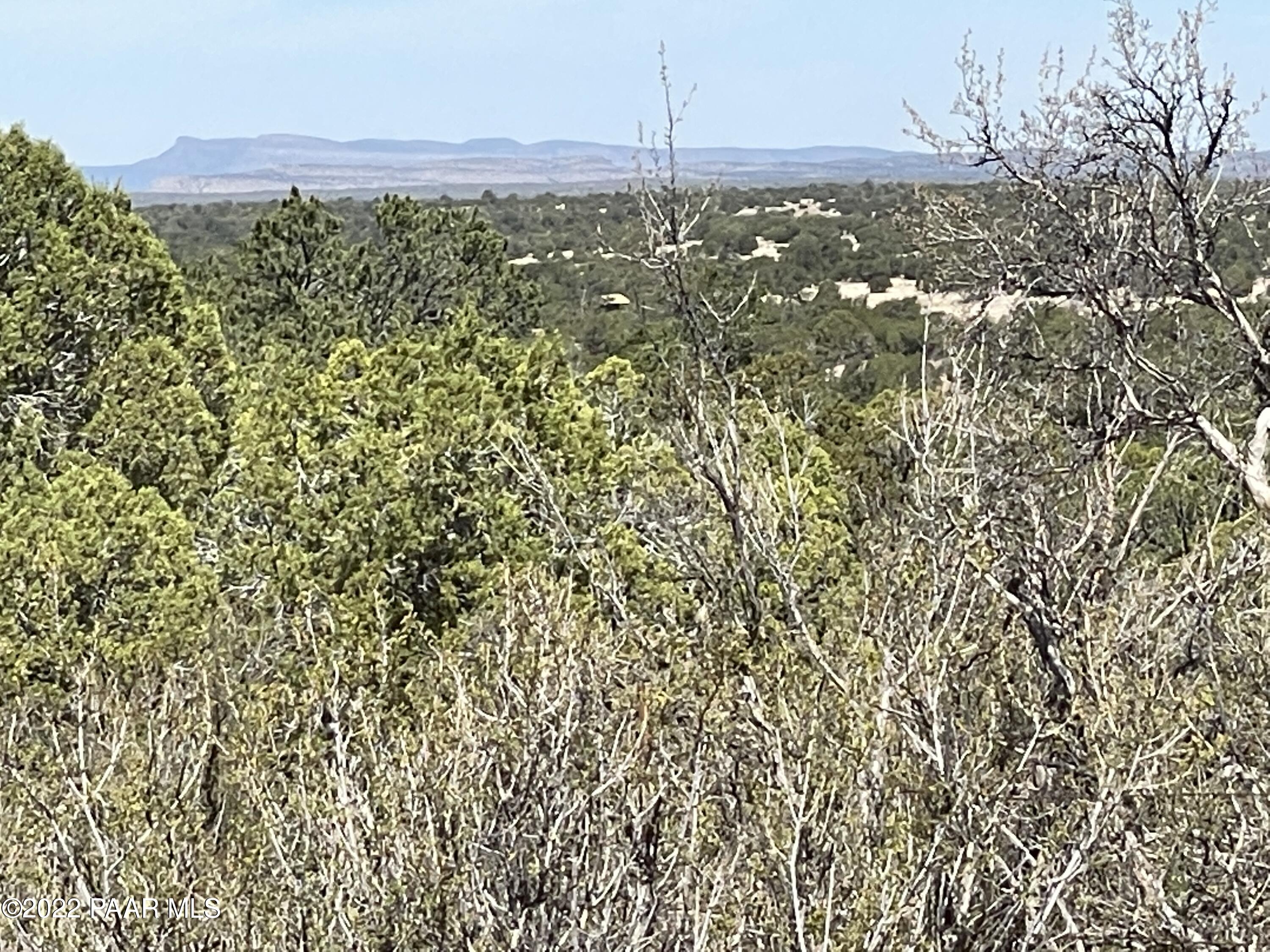0 Pica Road Seligman, AZ 86337 - Photo 7 of 28 IMG_3005