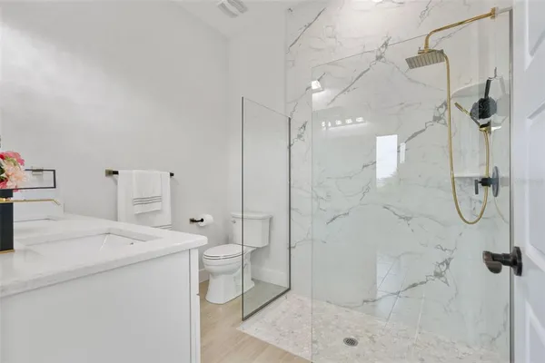 a bathroom with a shower and a toilet