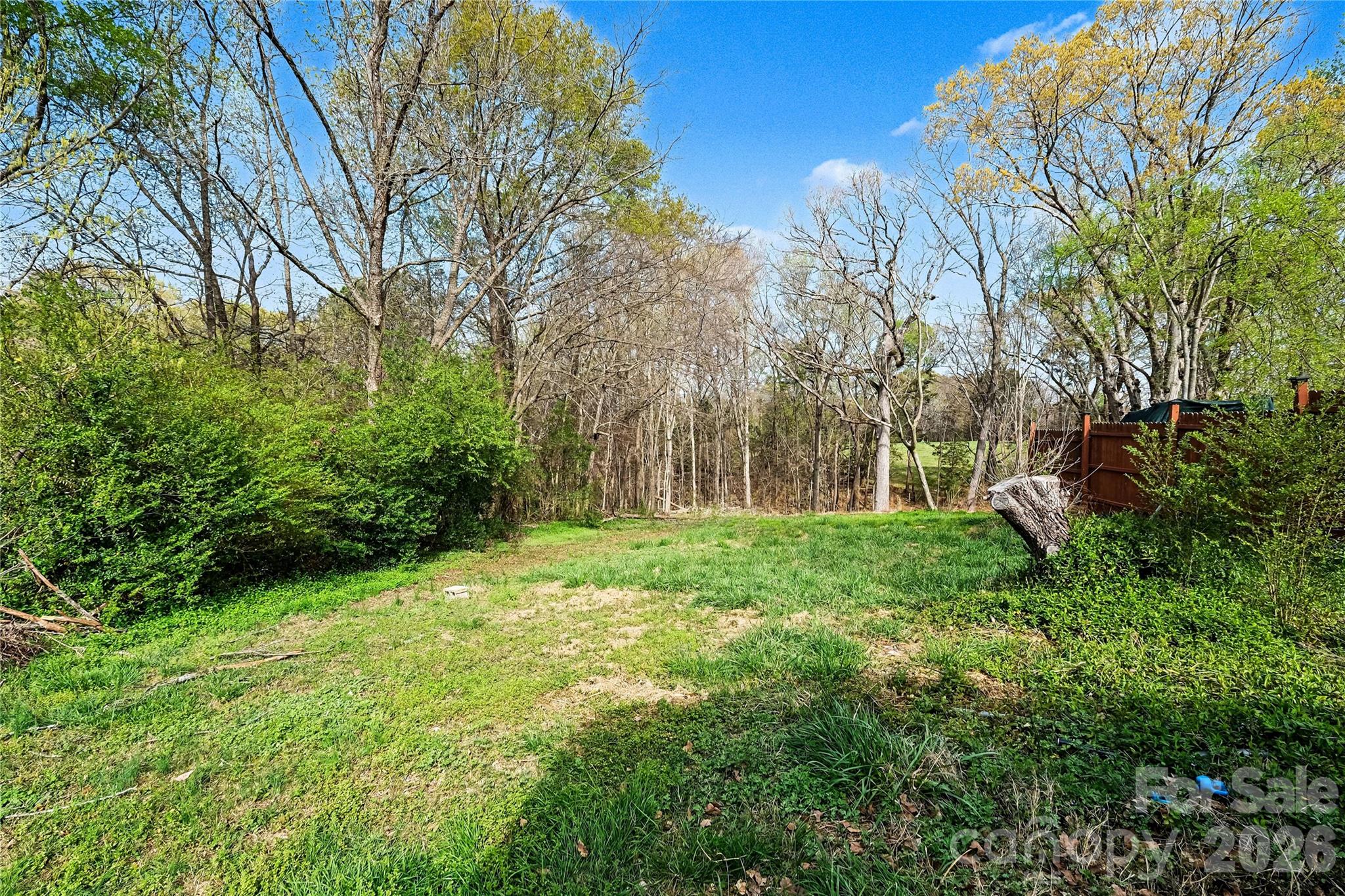 1175 Old Salisbury-Concord Road Concord, NC 28025 - Photo 28 of 31 a view of backyard with tree