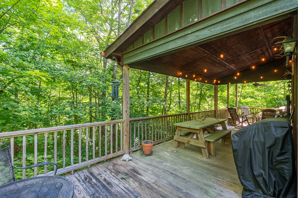 135 Diamond Back Ridge Blue Ridge, GA 30513 - Photo 13 of 60