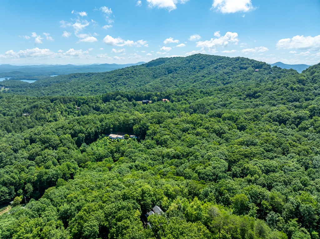 135 Diamond Back Ridge Blue Ridge, GA 30513 - Photo 52 of 60