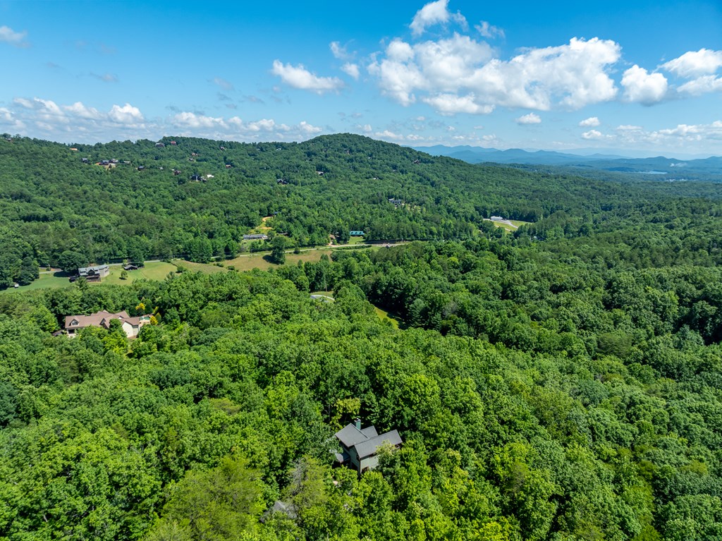 135 Diamond Back Ridge Blue Ridge, GA 30513 - Photo 53 of 60