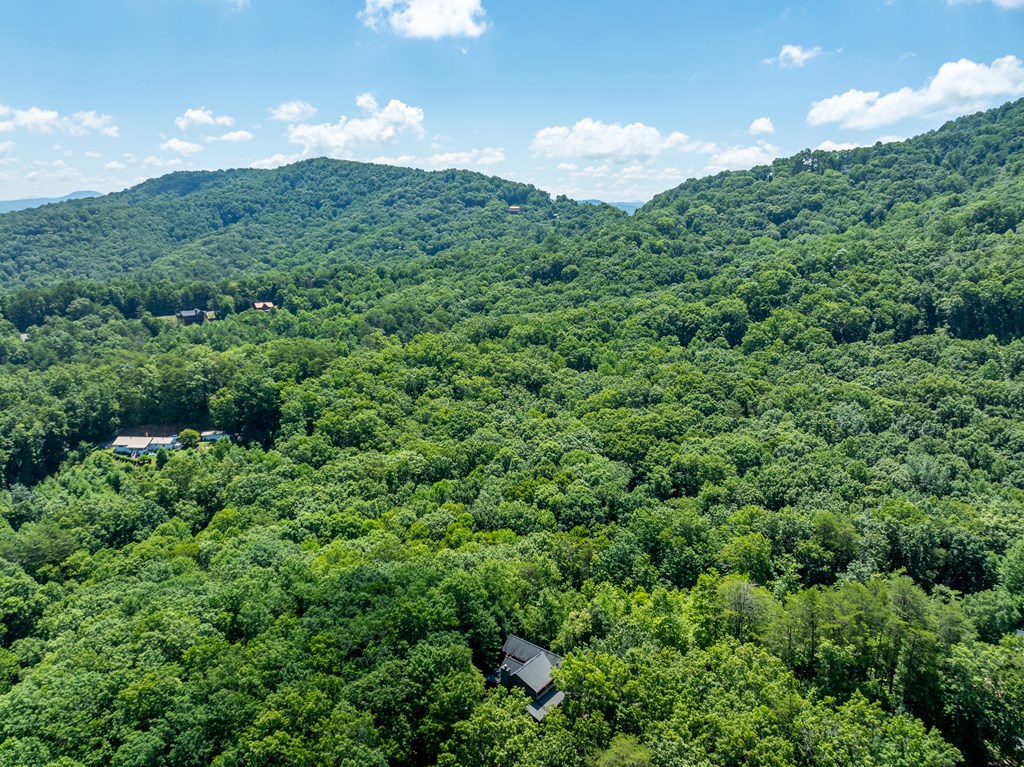 135 Diamond Back Ridge Blue Ridge, GA 30513 - Photo 54 of 60