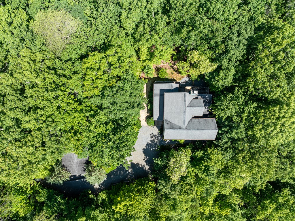 135 Diamond Back Ridge Blue Ridge, GA 30513 - Photo 56 of 60
