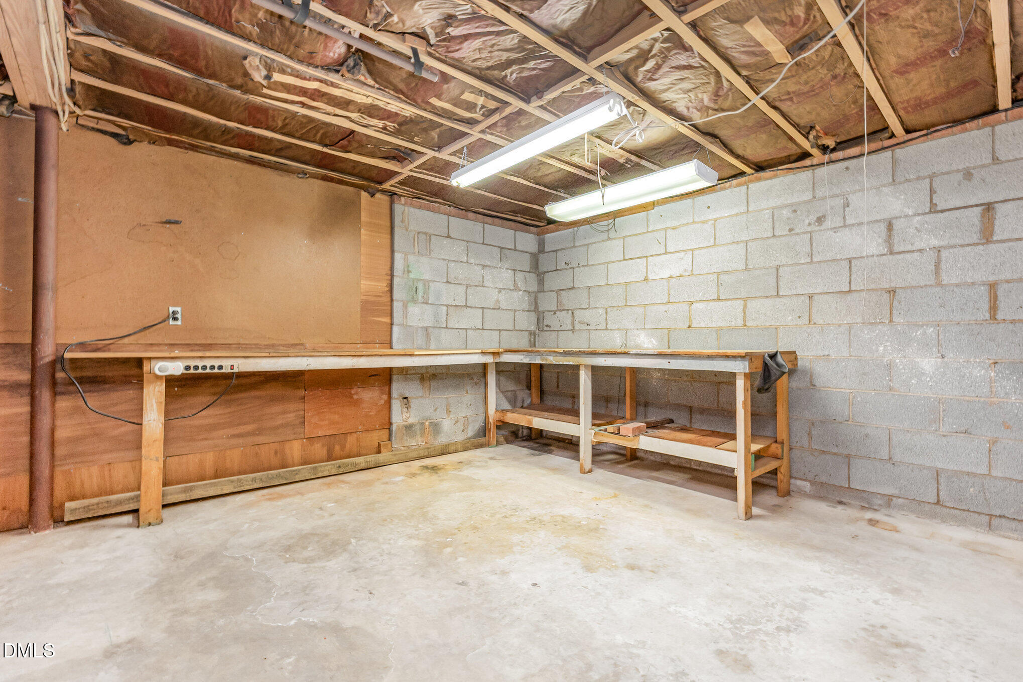 913 Merwin Road Raleigh, NC 27606 - Photo 25 of 28 Basement storage