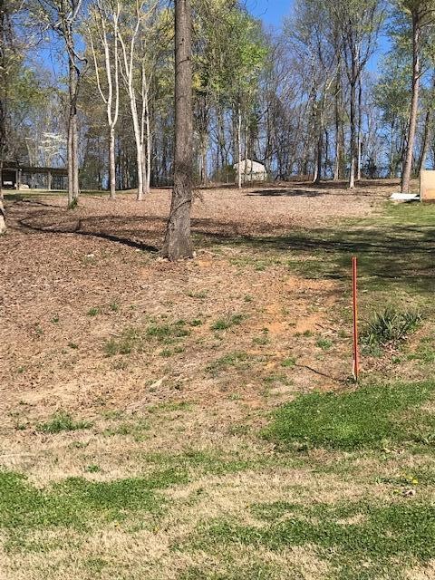 6 Piney View Drive Spring City, TN 37381 - Photo 2 of 3