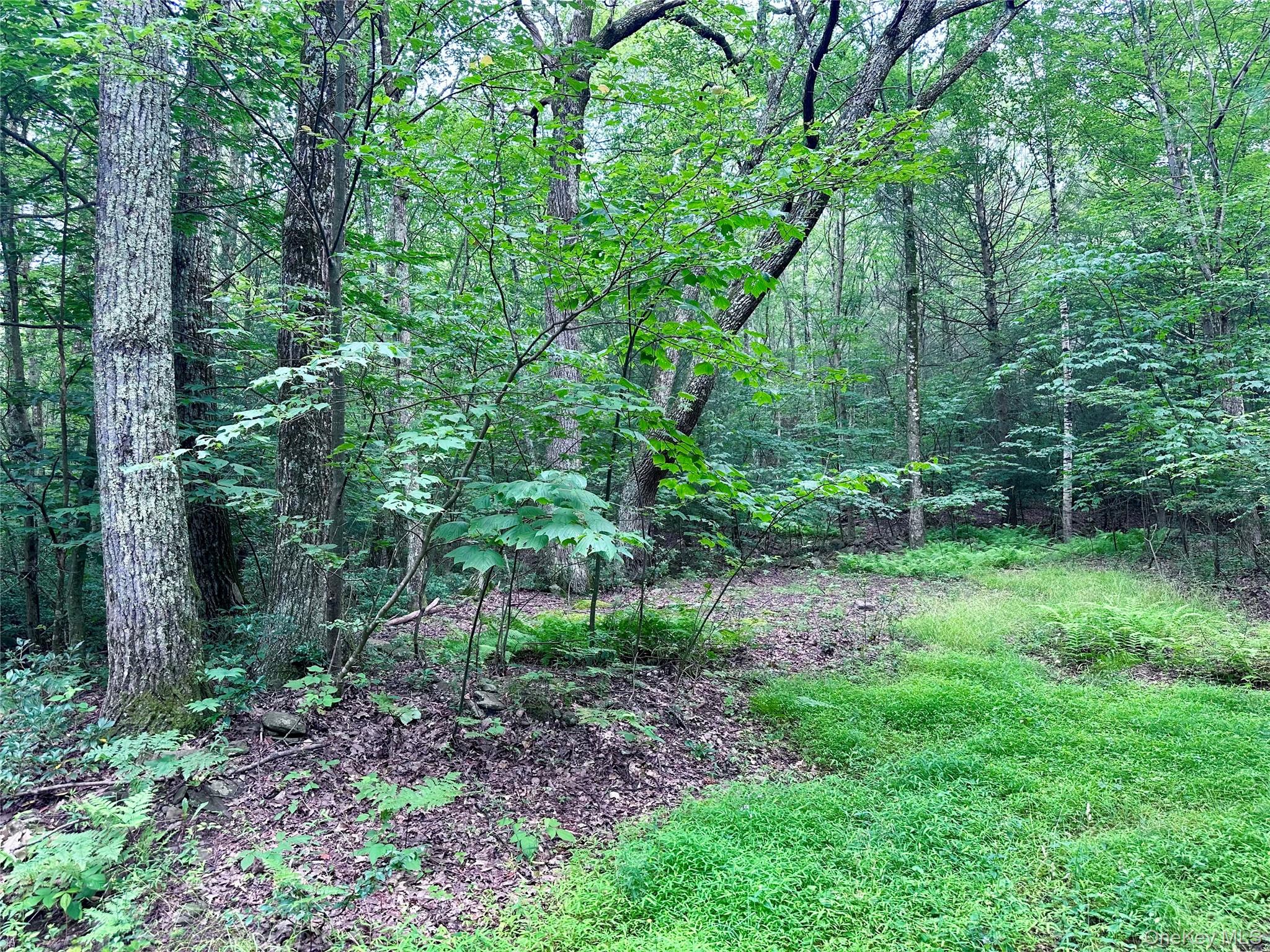 Lot 1 Upper Cherrytown Road Kerhonkson, NY 12446 - Photo 4 of 11 a view of a lush green forest
