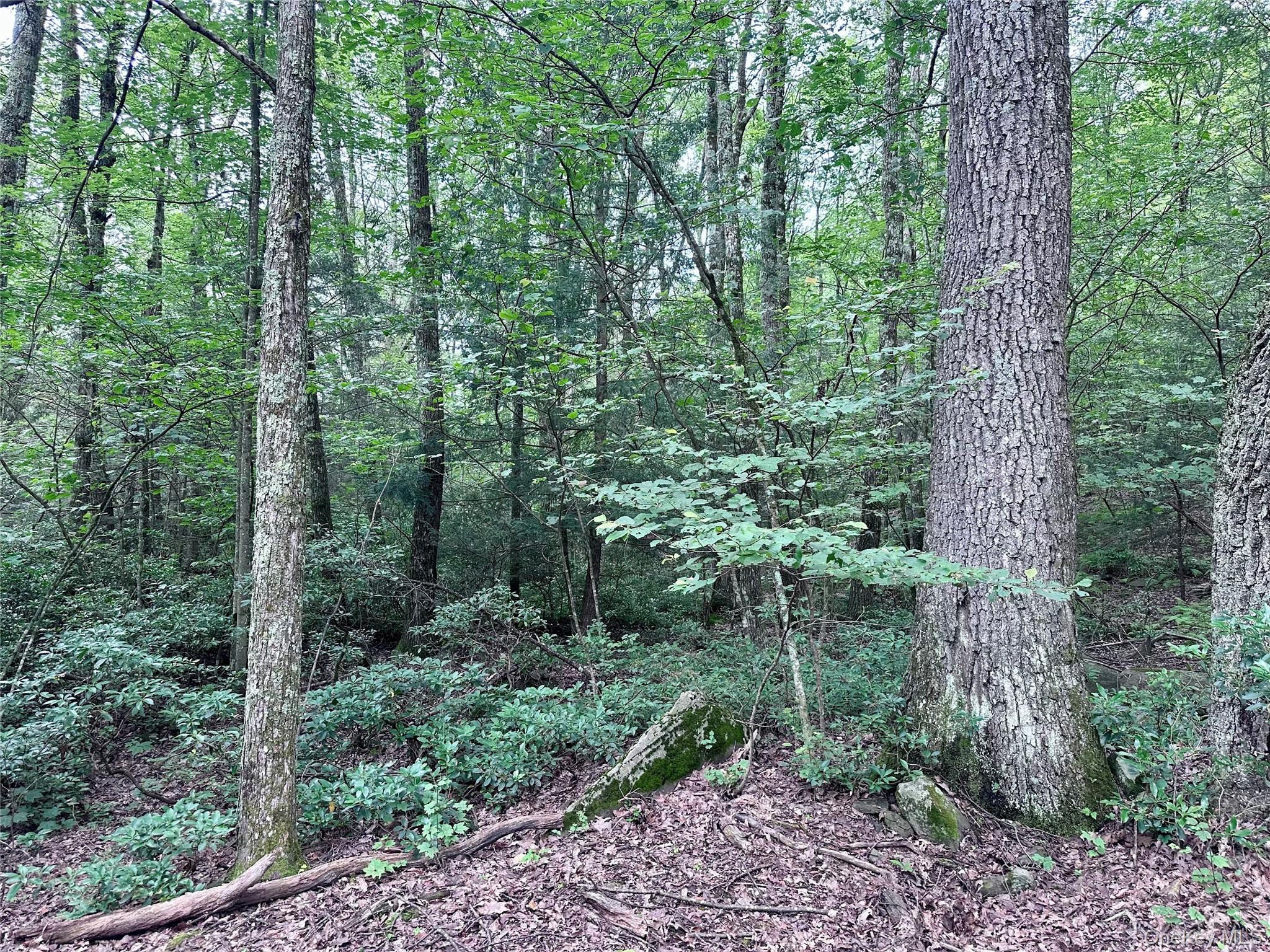 Lot 1 Upper Cherrytown Road Kerhonkson, NY 12446 - Photo 5 of 11 a view of outdoor space and green space