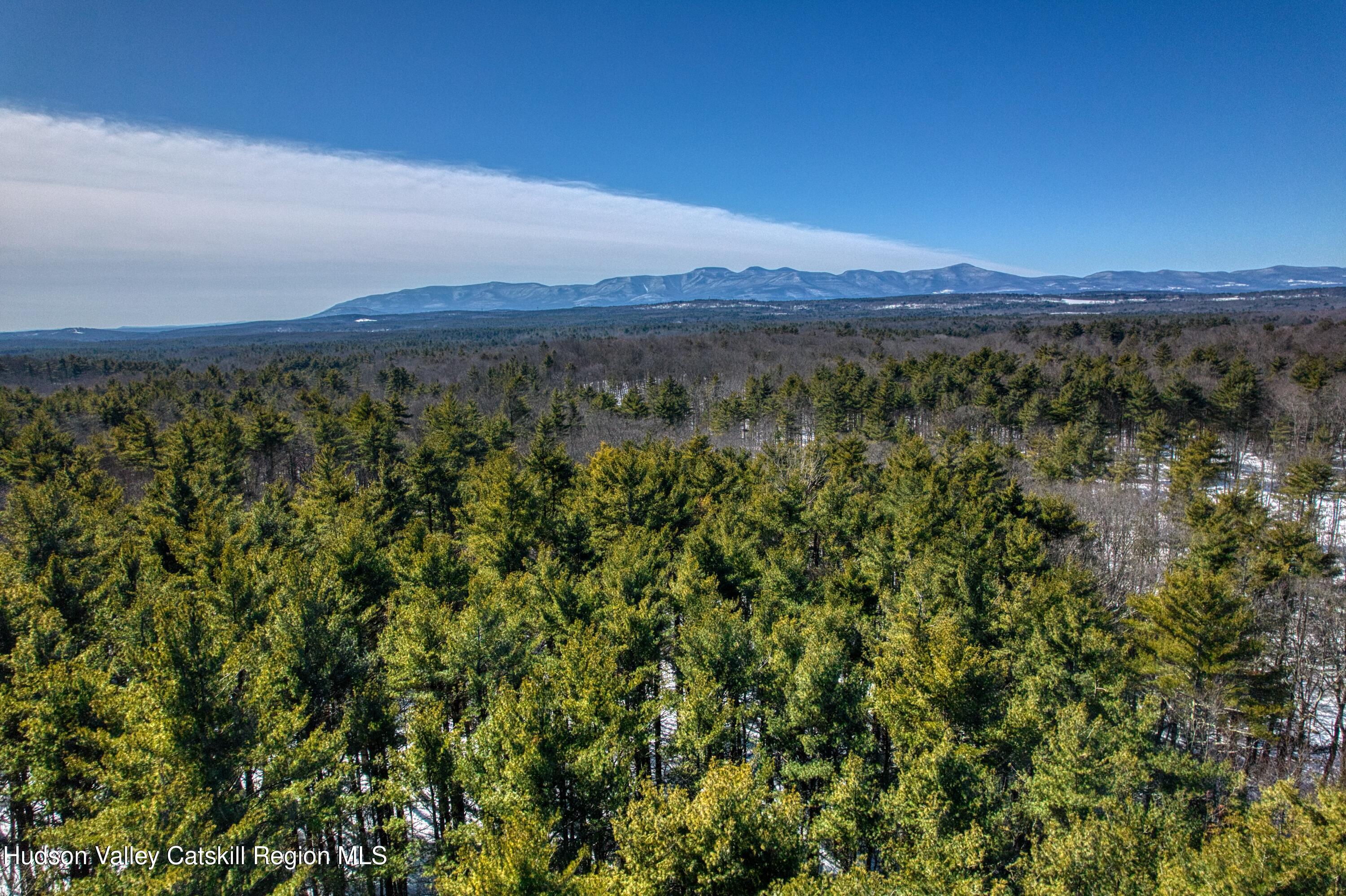 0 County Route 26 Climax, NY 12042 - Photo 11 of 12 rt 26 aerial 11