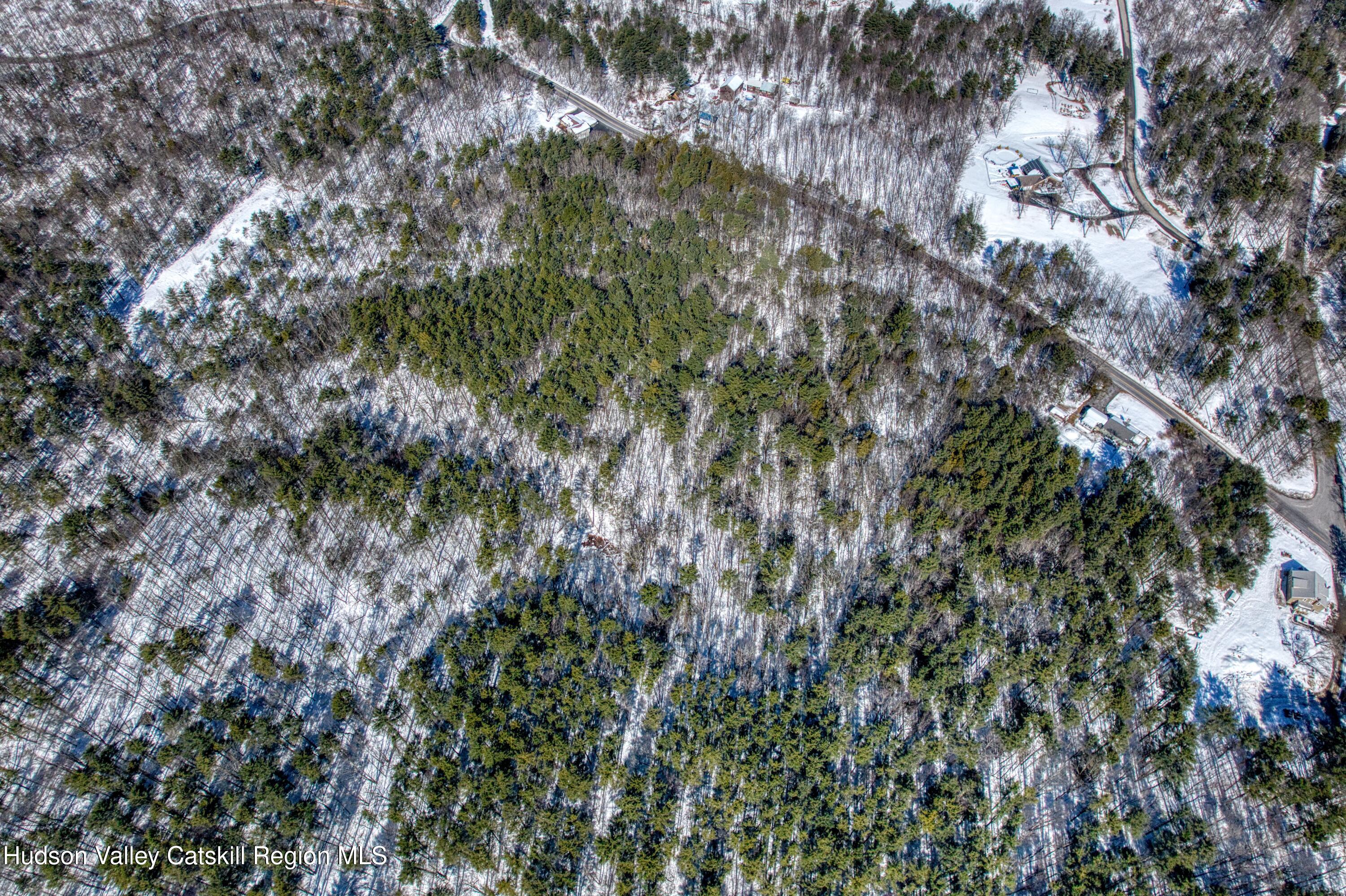 0 County Route 26 Climax, NY 12042 - Photo 12 of 12 rt 26 aerial 12